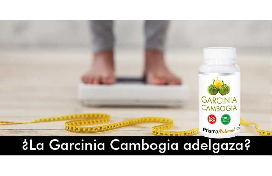 ¿La Garcinia Cambogia adelgaza?